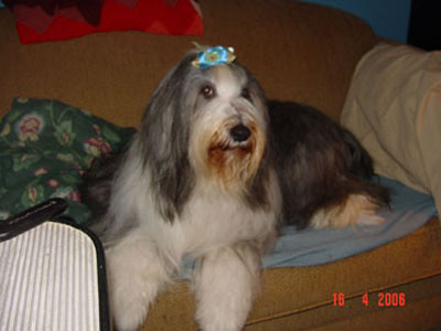 Maxine in her most important role - princess of our home